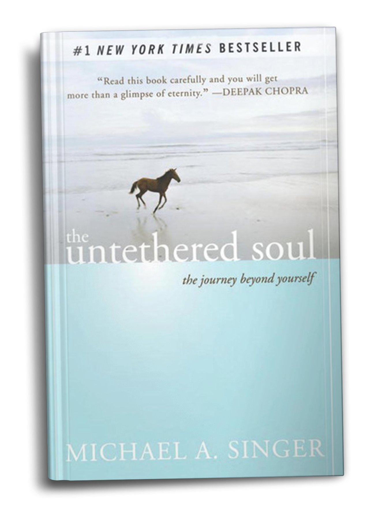the untethered soul negative reviews