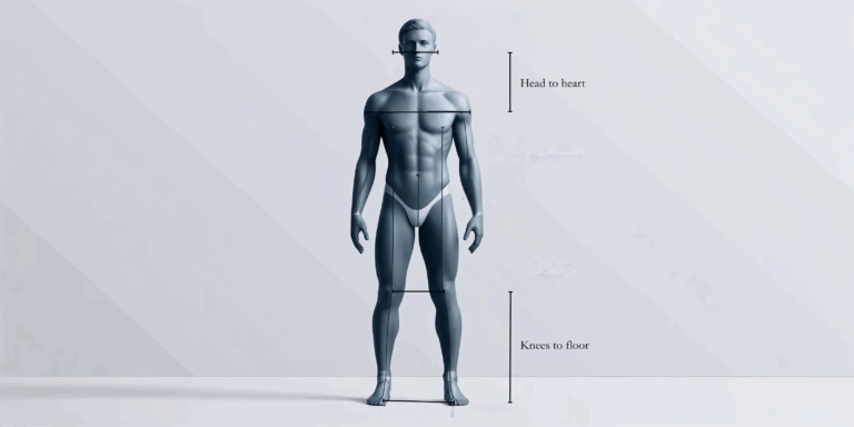 medical diagram measuring anatomical distances